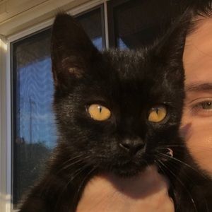 Meet your Posher, Laray